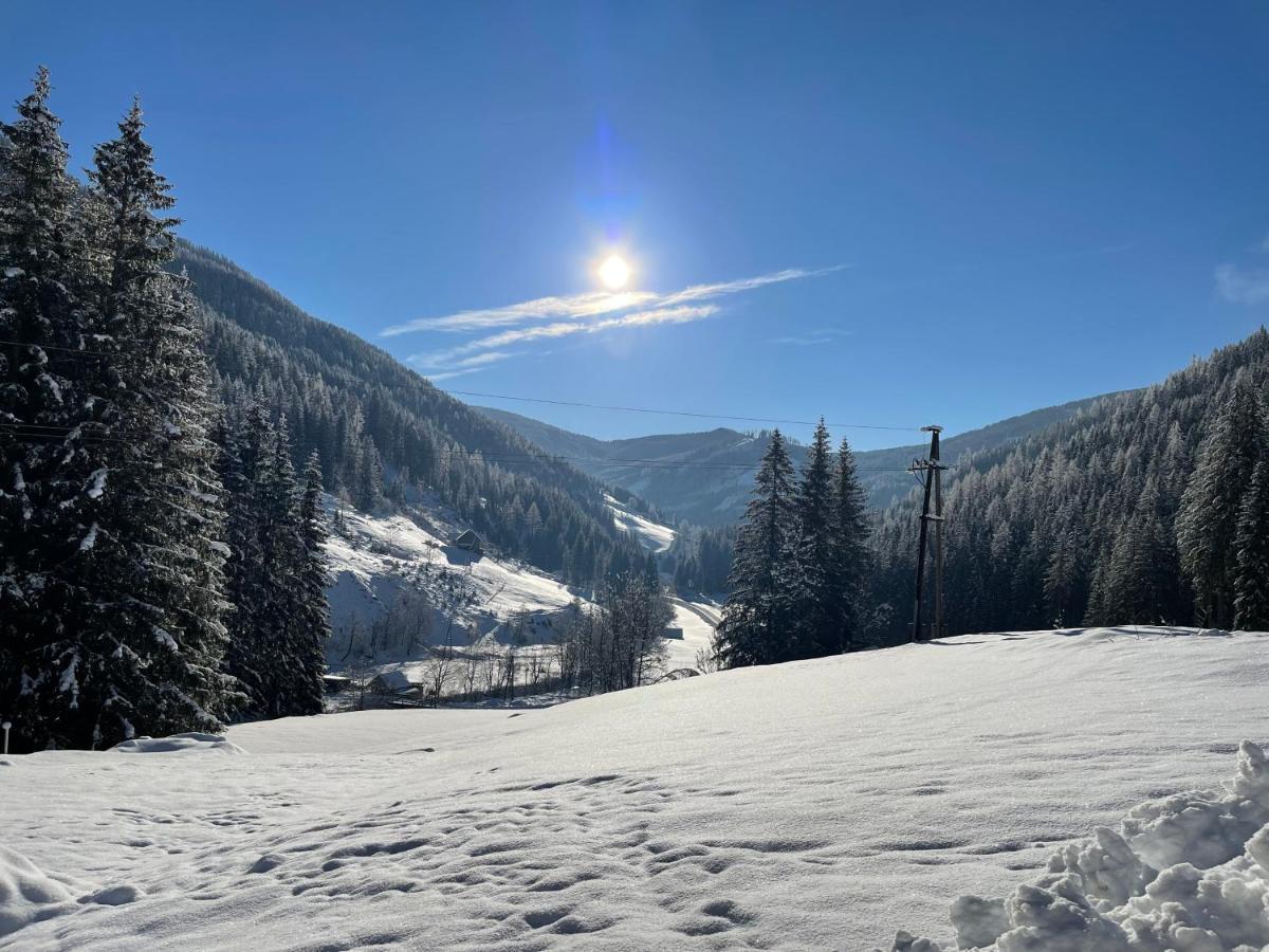 Ferienwohnungen Zum Klammlhof Ebene Reichenau Extérieur photo