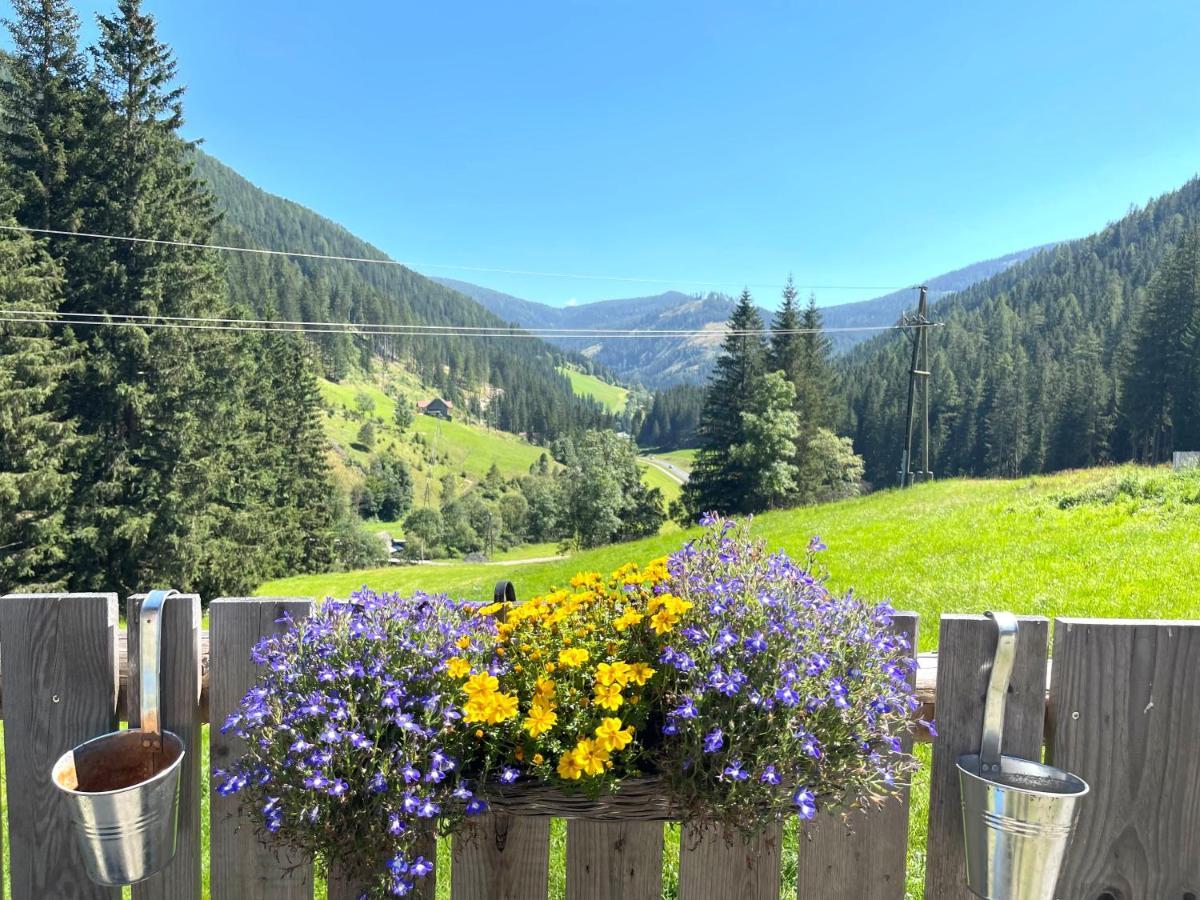 Ferienwohnungen Zum Klammlhof Ebene Reichenau Extérieur photo